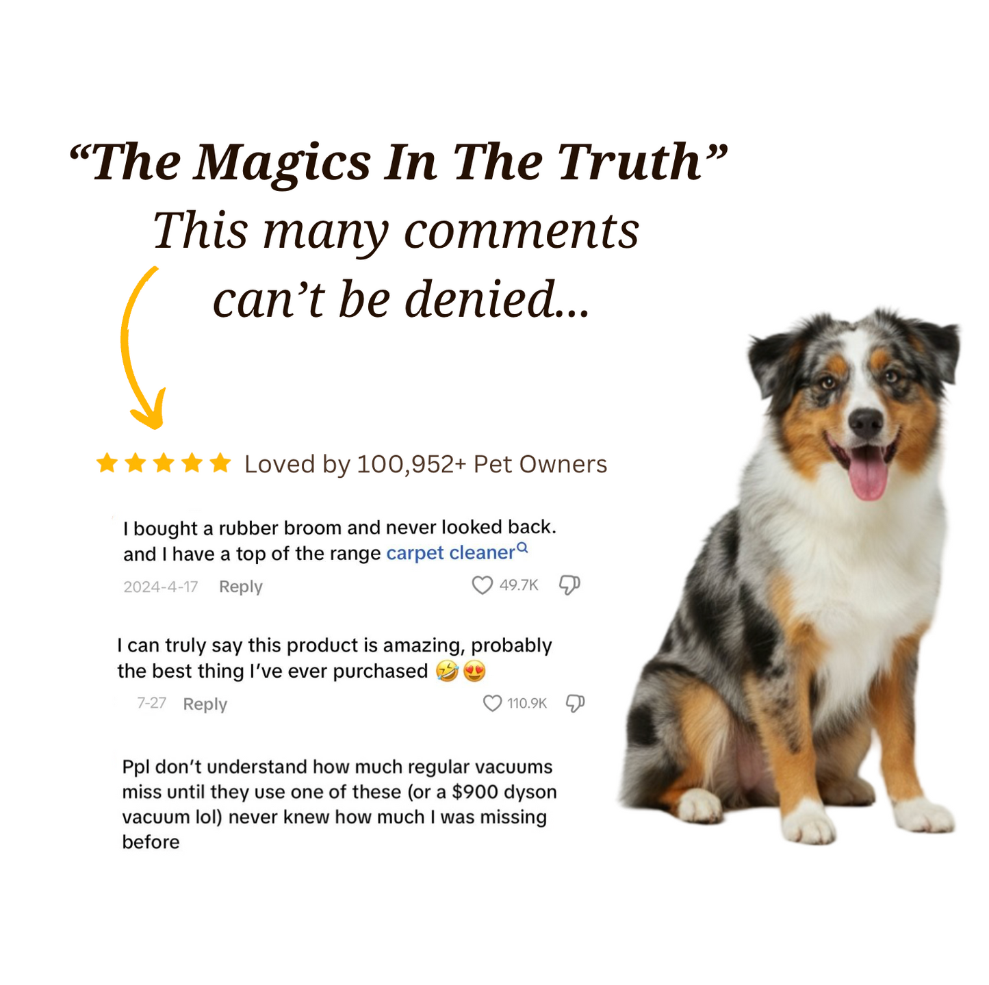 Magic™ 2-In-1 Pet Hair Broom