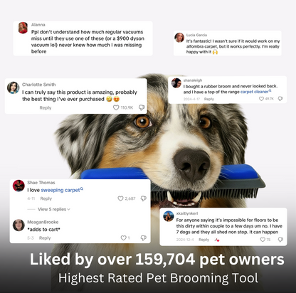 Magic™ 2-In-1 Pet Hair Broom