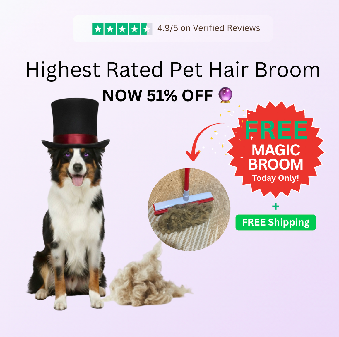 Magic™ 2-In-1 Pet Hair Broom